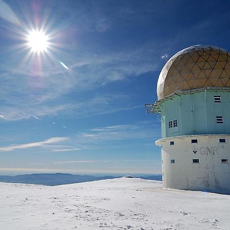 Appartamento Casa D'Avo Coragem Seia Esterno foto