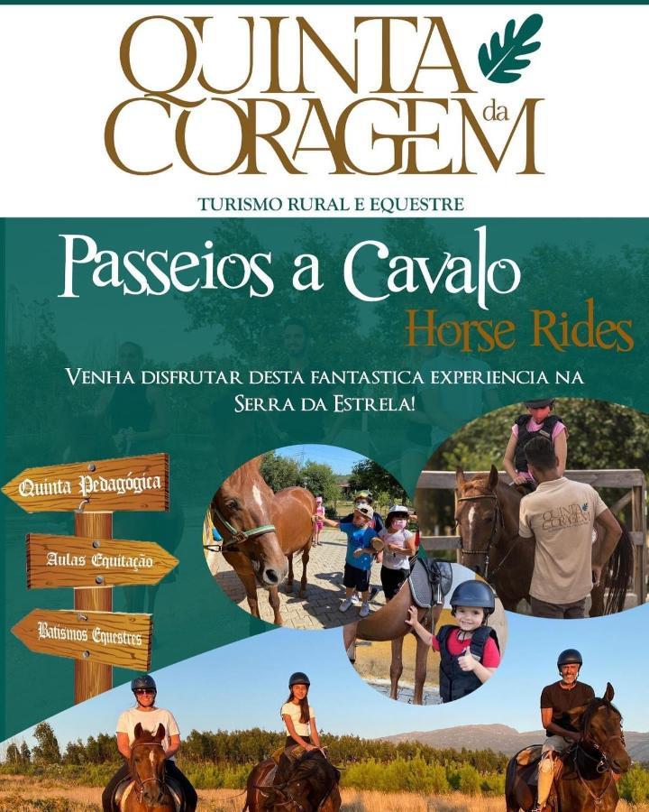 Appartamento Casa D'Avo Coragem Seia Esterno foto
